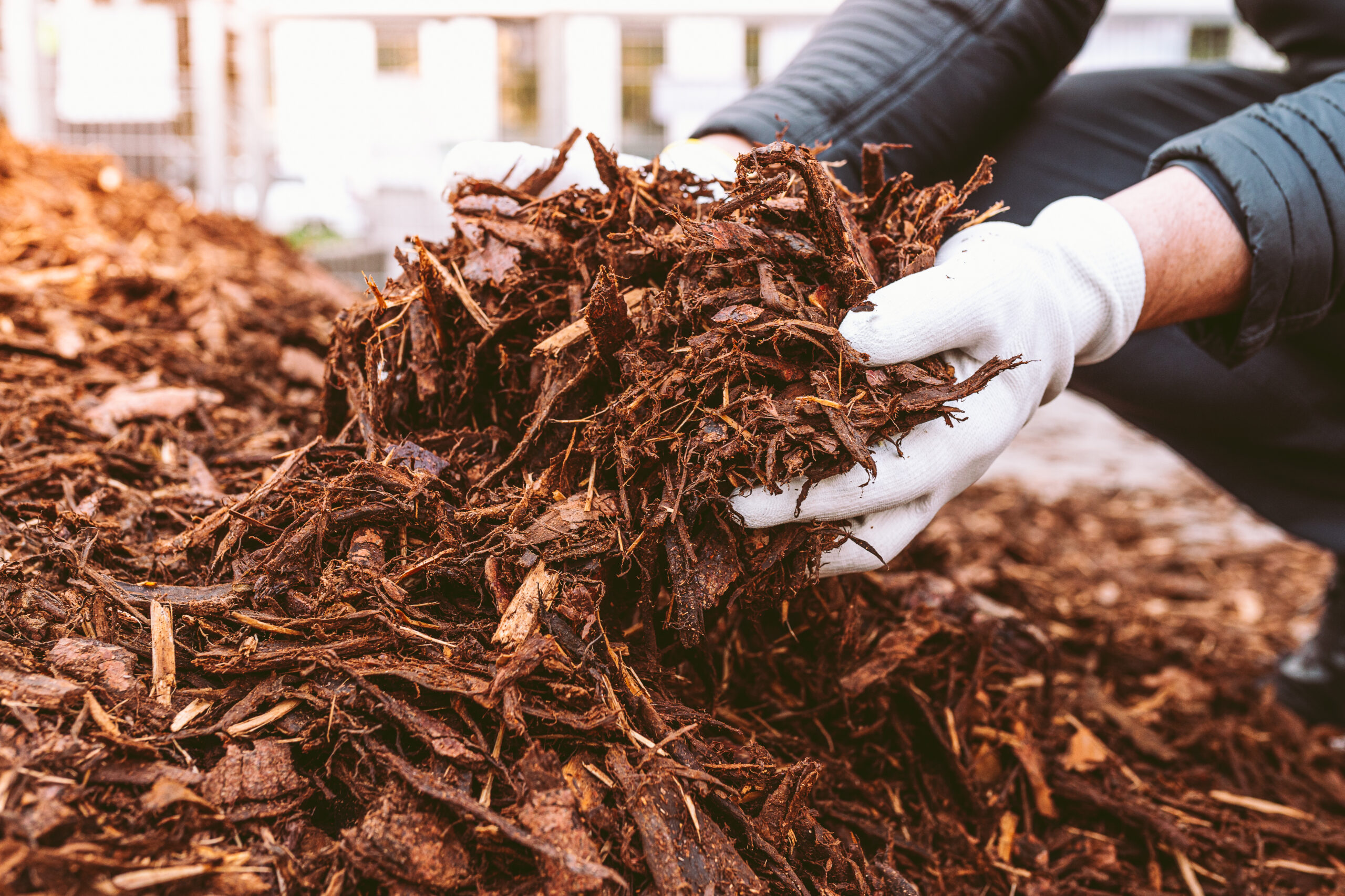 Featured image for “How to Choose the Right Mulch for Your Garden”